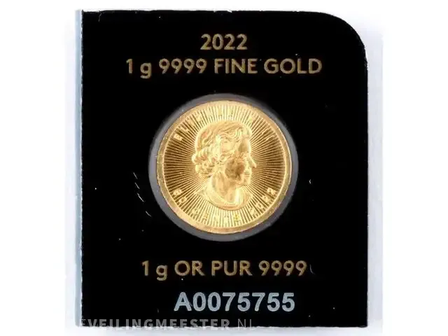 1 gouden munt canada , maple leaf - afbeelding 2 van  2