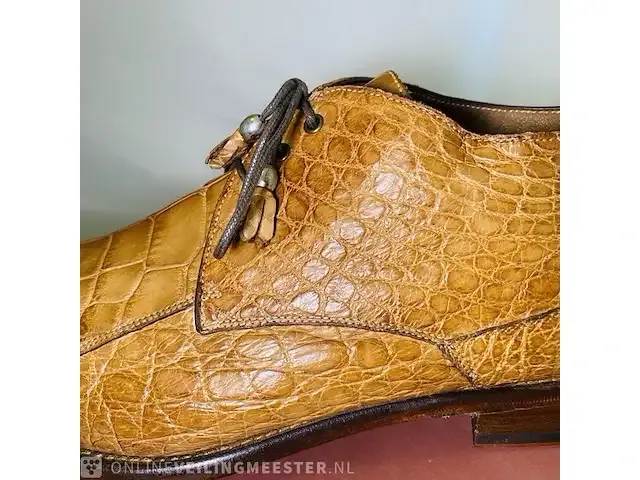 1 schoenen - krokodillen leer calzoleria toscana - nieuw - afbeelding 1 van  8