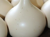 10 decoratieve vaasjes met hoogte 10 cm. - afbeelding 2 van  2