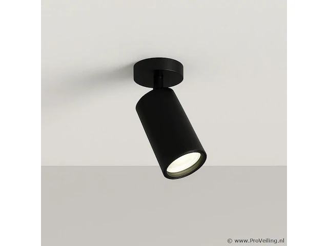 10 x gu10 opbouwarmatuur – draaibaar 350°/70° – ø55x110 mm – aluminium – ip20 – binnen - afbeelding 2 van  5