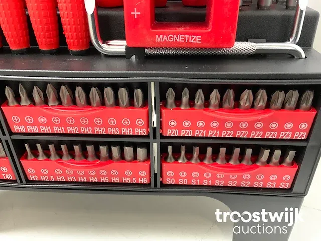 101 delig schroevendraaier en bitset - afbeelding 4 van  6