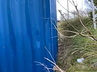 10ft milieu opslagcontainer - afbeelding 7 van  16