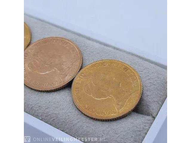 10x 10 gulden munt - afbeelding 3 van  22