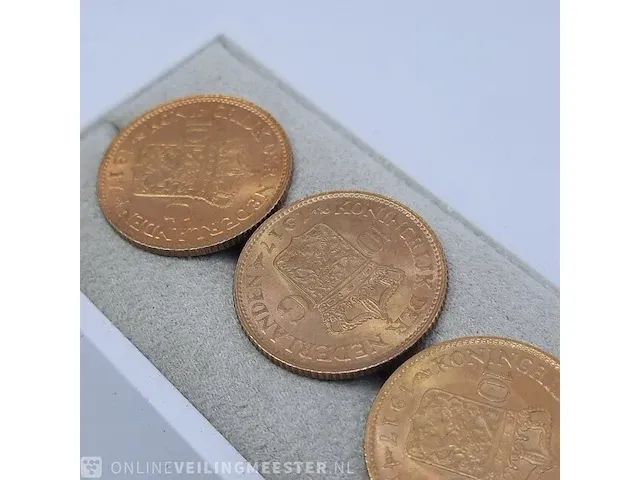 10x 10 gulden munt - afbeelding 13 van  22