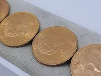 10x 10 gulden munt - afbeelding 19 van  22