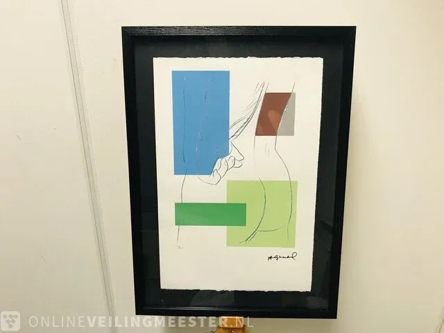 10x kunstcollectie andy warhol x tom wesselink - lithografen - afbeelding 16 van  17