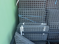 123 steenkorvenrek + voorraad - afbeelding 3 van  5