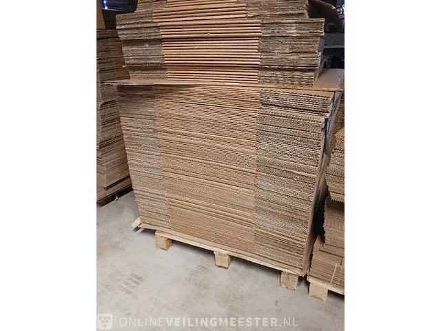 123x diverse dozen raja - afbeelding 7 van  8