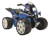 12v elektrische quad injusa, the beast