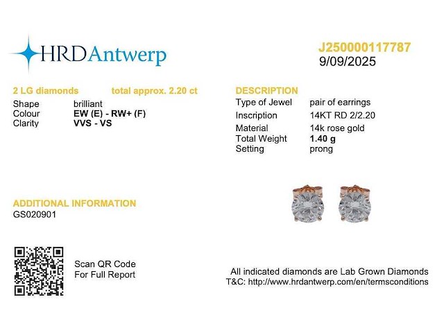 14 karaat roségouden oorstekers met 2,20 crt. diamant - afbeelding 2 van  7