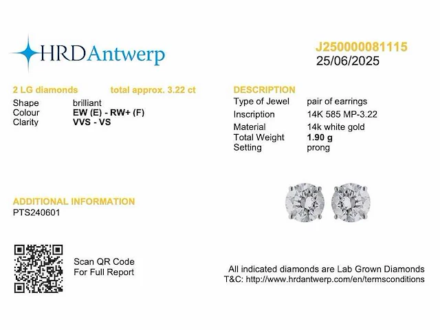 14 karaat witgouden oorstekers met 3,22 crt. diamant - afbeelding 2 van  7