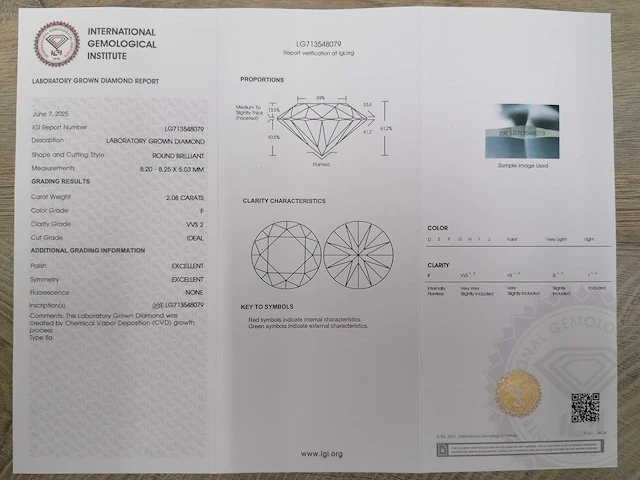 14 karaat witgouden oorstekers met 4,15 crt. diamant - afbeelding 3 van  6