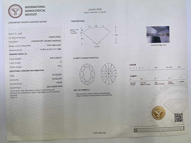 14 karaat witgouden ring met 4,19 crt. diamant - afbeelding 10 van  14