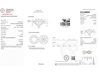 14 karaat witgouden ring met 7,02 crt. diamant - afbeelding 2 van  7