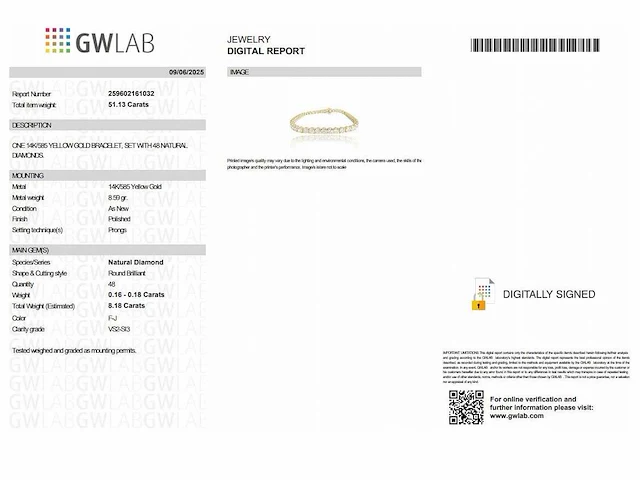 14 krt. geelgouden armband met 8,18 crt. diamanten naturel - afbeelding 2 van  5