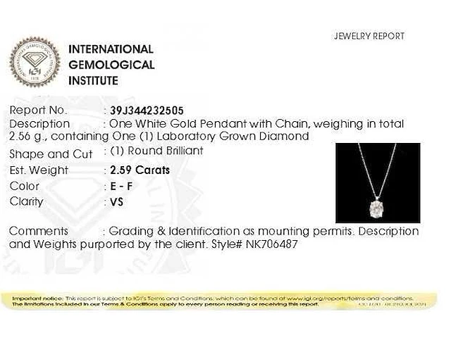 14 krt. wit gouden ketting met hanger met diamant 2,59 crt. - afbeelding 2 van  5