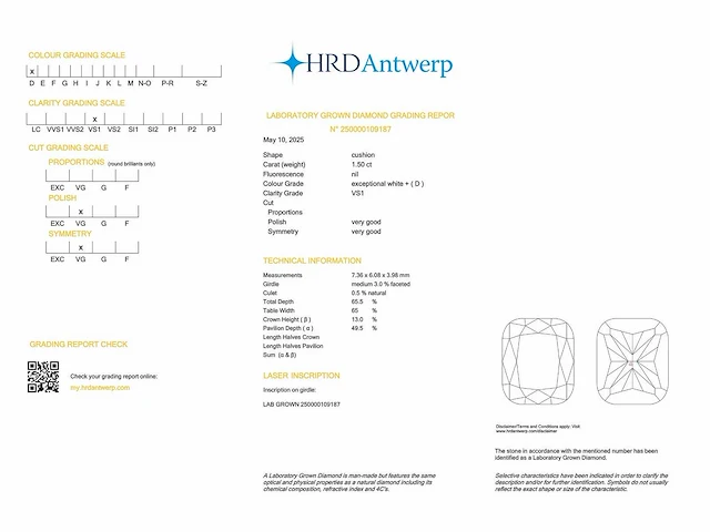 14 krt. wit gouden oorstekers met diamant 3 crt. - afbeelding 2 van  7