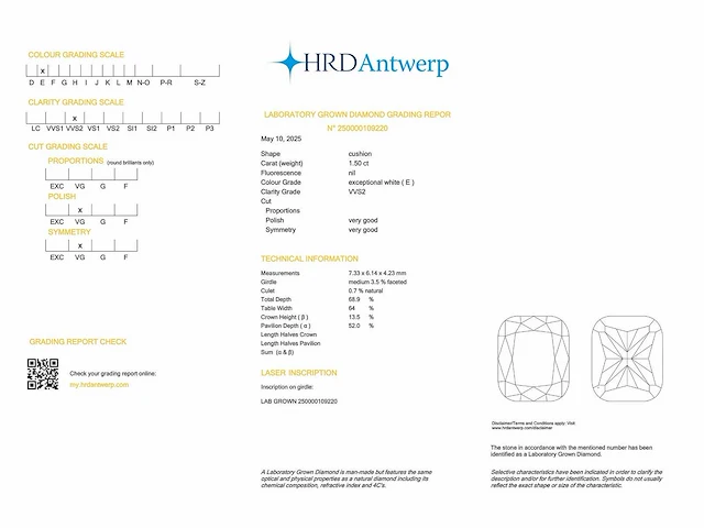 14 krt. wit gouden oorstekers met diamant 3 crt. - afbeelding 4 van  7