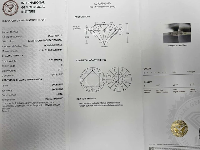 14 krt wit gouden ring met diamant 5,23 crt - afbeelding 3 van  10