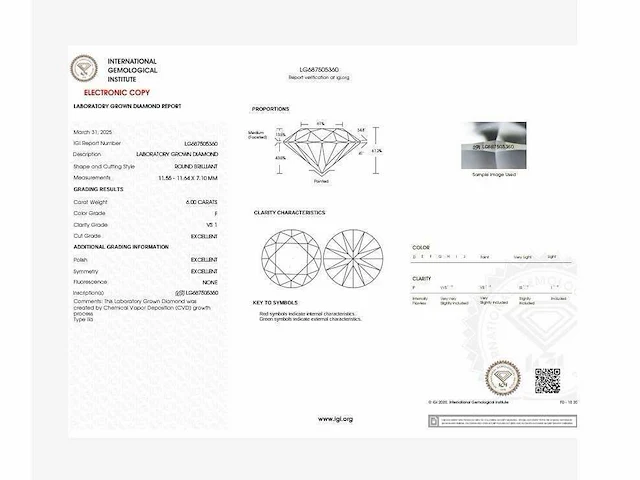 14 krt. wit gouden ring met diamant 6,22 crt. - afbeelding 5 van  12