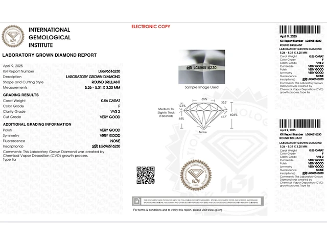 14k witgouden oorbellen met 1.13ct diamant ( igi gecertificeerd ) - afbeelding 5 van  6