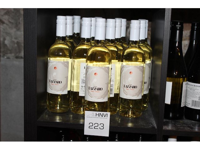 17 flessen pinot grigio lazzaro 2024. - afbeelding 1 van  2