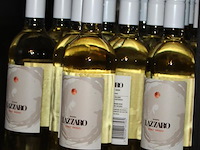 17 flessen pinot grigio lazzaro 2024. - afbeelding 2 van  2
