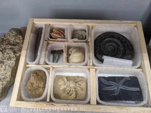 17x replica art, archeologisch - afbeelding 2 van  25