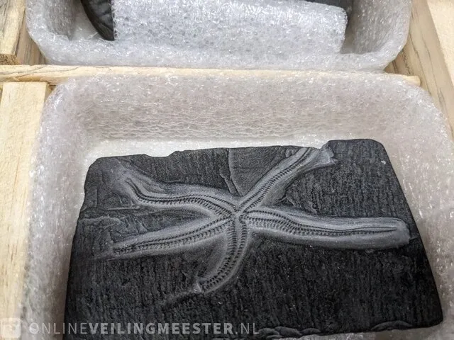 17x replica art, archeologisch - afbeelding 3 van  25