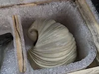 17x replica art, archeologisch - afbeelding 7 van  25