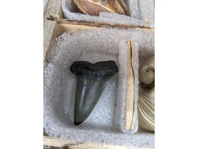 17x replica art, archeologisch - afbeelding 8 van  25