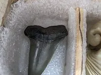 17x replica art, archeologisch - afbeelding 8 van  25