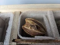 17x replica art, archeologisch - afbeelding 10 van  25