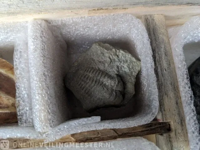 17x replica art, archeologisch - afbeelding 11 van  25