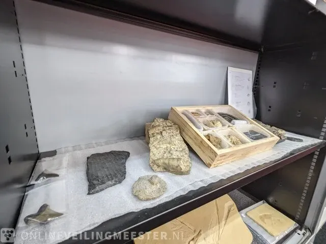 17x replica art, archeologisch - afbeelding 1 van  25