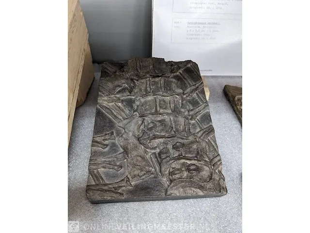 17x replica art, archeologisch - afbeelding 14 van  25