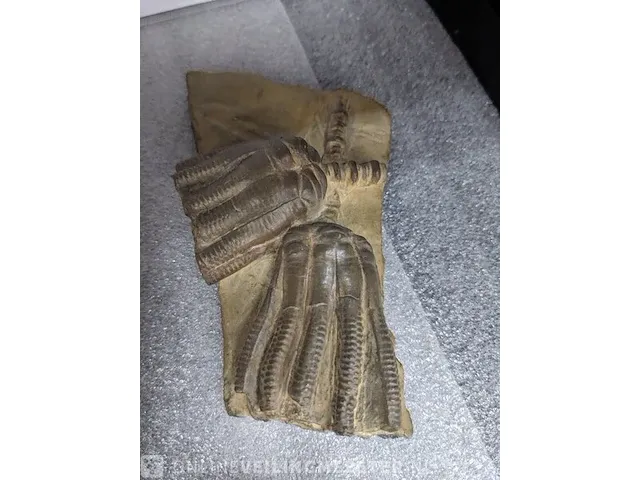 17x replica art, archeologisch - afbeelding 17 van  25