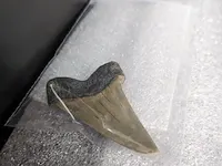 17x replica art, archeologisch - afbeelding 12 van  25