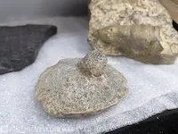 17x replica art, archeologisch - afbeelding 20 van  25