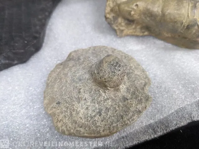 17x replica art, archeologisch - afbeelding 21 van  25