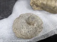 17x replica art, archeologisch - afbeelding 21 van  25