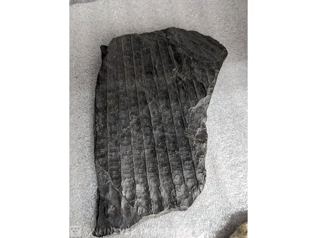 17x replica art, archeologisch - afbeelding 22 van  25