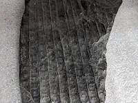 17x replica art, archeologisch - afbeelding 22 van  25