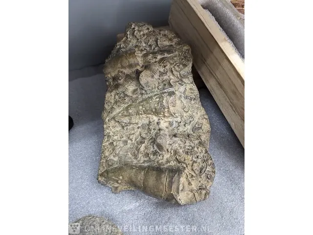17x replica art, archeologisch - afbeelding 23 van  25