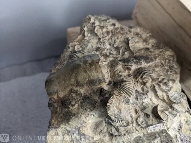17x replica art, archeologisch - afbeelding 24 van  25