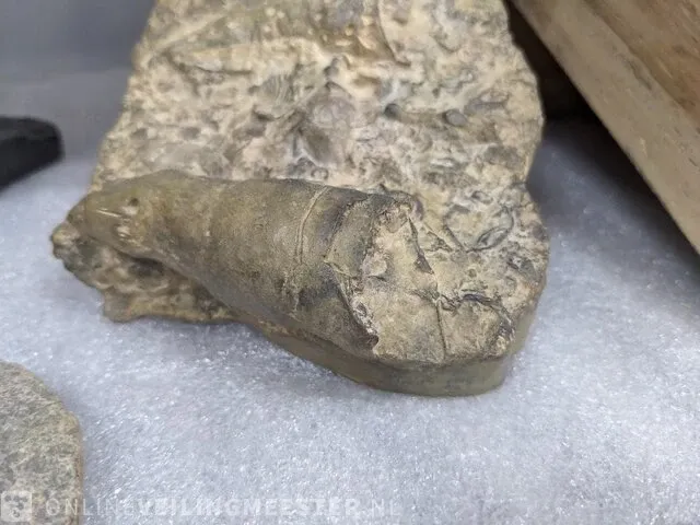 17x replica art, archeologisch - afbeelding 25 van  25