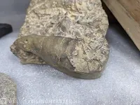 17x replica art, archeologisch - afbeelding 25 van  25