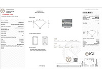 18 karaat witgouden ring met 8,05 crt. diamant. - afbeelding 11 van  18