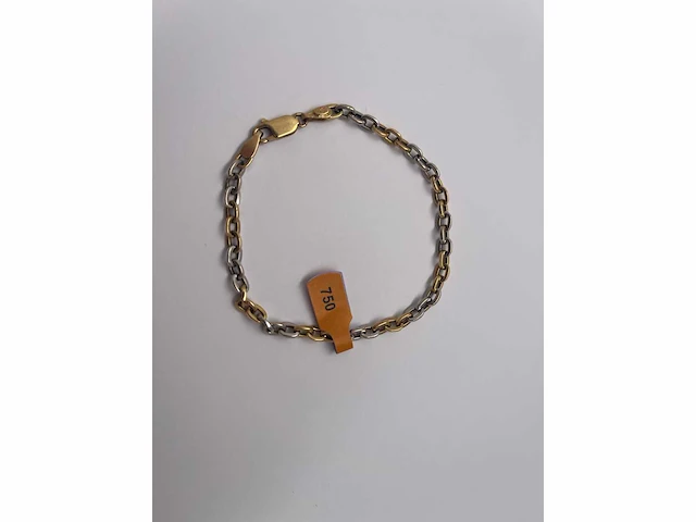 18 karaats wit- en geelgouden armband - afbeelding 1 van  2