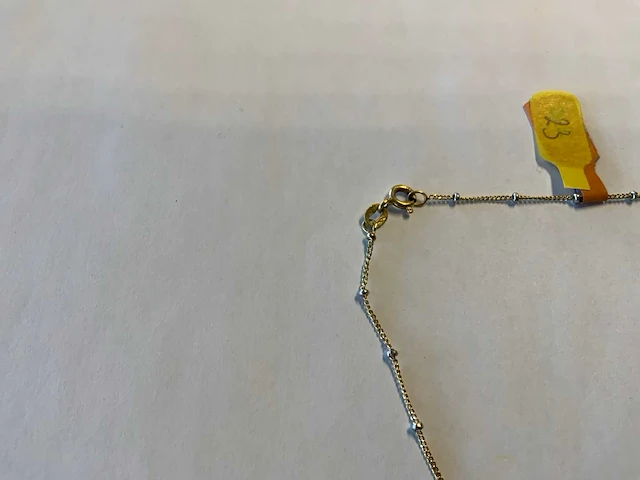 18 krt wit- en geelgouden fijn collier - afbeelding 4 van  4